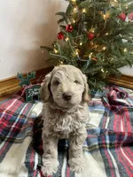 processed/abc93c02-9640-47c2-babc-aae6e418351c/listing/8385cbac-65b8-4c1c-845e-51fef047fb47/e353f0f1-b836-476e-90ea-8b7263594563