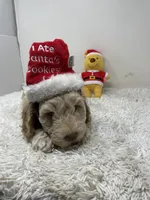 processed/abc93c02-9640-47c2-babc-aae6e418351c/listing/8385cbac-65b8-4c1c-845e-51fef047fb47/f1cddea7-15da-4878-b014-59557485d99f