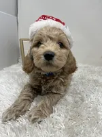 processed/abc93c02-9640-47c2-babc-aae6e418351c/listing/8a68d0d9-2ce4-4911-a087-e868cd236dac/3d6301a9-5f48-4268-982b-bb58b97115d2