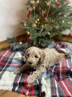 processed/abc93c02-9640-47c2-babc-aae6e418351c/listing/8a68d0d9-2ce4-4911-a087-e868cd236dac/44cc5353-994f-4386-b316-cee4bb4925cb