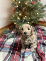 processed/abc93c02-9640-47c2-babc-aae6e418351c/listing/8a68d0d9-2ce4-4911-a087-e868cd236dac/92a180f1-7344-4f52-aa0d-36fe6c75269d