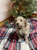 processed/abc93c02-9640-47c2-babc-aae6e418351c/listing/8a68d0d9-2ce4-4911-a087-e868cd236dac/c6473685-c9d4-44b7-a929-c4e32754165b