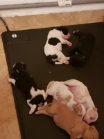 processed/abdfce95-684a-4e49-85e5-6ef36e841695/facility/16410f72-49ab-470a-9506-9652f72a0272