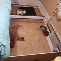 processed/abdfce95-684a-4e49-85e5-6ef36e841695/facility/179cd20f-c06a-443c-828b-af09e7460641