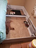 processed/abdfce95-684a-4e49-85e5-6ef36e841695/facility/179cd20f-c06a-443c-828b-af09e7460641