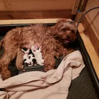 processed/abdfce95-684a-4e49-85e5-6ef36e841695/facility/dc546b06-f5b2-46d8-b5d1-13134b0ae9ea