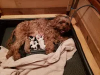 processed/abdfce95-684a-4e49-85e5-6ef36e841695/facility/dc546b06-f5b2-46d8-b5d1-13134b0ae9ea