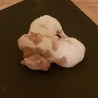 processed/abdfce95-684a-4e49-85e5-6ef36e841695/facility/f3196c2b-cc5e-491d-aead-25ef5167eaf9