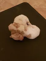 processed/abdfce95-684a-4e49-85e5-6ef36e841695/facility/f3196c2b-cc5e-491d-aead-25ef5167eaf9