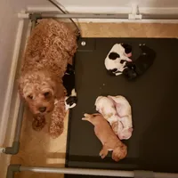 processed/abdfce95-684a-4e49-85e5-6ef36e841695/facility/f6fe24af-c0af-415d-b558-5f27dd07a8a1