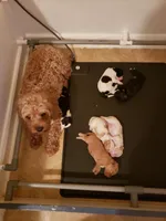 processed/abdfce95-684a-4e49-85e5-6ef36e841695/facility/f6fe24af-c0af-415d-b558-5f27dd07a8a1