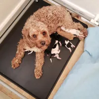 processed/abdfce95-684a-4e49-85e5-6ef36e841695/facility/f83f17fd-6473-4174-8795-a4aaa91de097