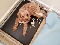 processed/abdfce95-684a-4e49-85e5-6ef36e841695/facility/f83f17fd-6473-4174-8795-a4aaa91de097