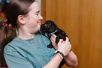 Harper, a female Cavapoo for sale in Columbia City, IN – Photo 4 of 7