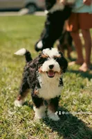 processed/abe891e6-1429-4948-b75a-2cdcd7119ac3/facility/22ae2766-8ec6-4adf-97f9-09fabdcbf70f