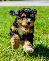 processed/abe891e6-1429-4948-b75a-2cdcd7119ac3/facility/65ab9e52-7e7b-421f-a786-4ae7f9946033