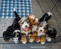 processed/abe891e6-1429-4948-b75a-2cdcd7119ac3/facility/97a3d117-a992-4d63-8354-d2d9bd86dc53