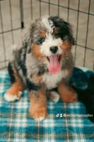 processed/abe891e6-1429-4948-b75a-2cdcd7119ac3/facility/b9882afc-a27a-4f17-b9f1-e4016949f4a3