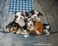 processed/abe891e6-1429-4948-b75a-2cdcd7119ac3/facility/c5de6edf-501f-46b1-8c2e-ed2bf174a6df