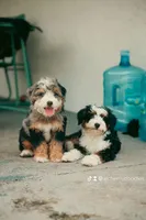 processed/abe891e6-1429-4948-b75a-2cdcd7119ac3/facility/eda019b5-e914-410e-ae17-e78fd1516e71