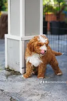 processed/abe891e6-1429-4948-b75a-2cdcd7119ac3/facility/fa8824ee-3372-4872-af29-8a17038de261