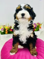 processed/abe891e6-1429-4948-b75a-2cdcd7119ac3/listing/3983ba31-84eb-4387-9130-4034282835cd/1aa1544e-7614-4167-9134-ad2b4c9e87bd