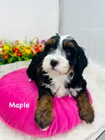 processed/abe891e6-1429-4948-b75a-2cdcd7119ac3/listing/3983ba31-84eb-4387-9130-4034282835cd/ce0c901a-5f4a-4bf1-b15e-c0cfd8f4a35f