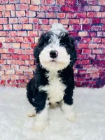 processed/abe891e6-1429-4948-b75a-2cdcd7119ac3/listing/6867bcc0-e297-4879-8ef2-86ddb31f92eb/20dcd4ee-4691-4748-9e64-f29e434e6296