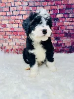 processed/abe891e6-1429-4948-b75a-2cdcd7119ac3/listing/6867bcc0-e297-4879-8ef2-86ddb31f92eb/453b813f-76f7-4b83-b878-526605423ada