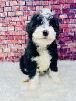 processed/abe891e6-1429-4948-b75a-2cdcd7119ac3/listing/6867bcc0-e297-4879-8ef2-86ddb31f92eb/6493b476-d526-4379-ae5b-2b3ea6743a90