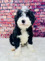 processed/abe891e6-1429-4948-b75a-2cdcd7119ac3/listing/6867bcc0-e297-4879-8ef2-86ddb31f92eb/7c1bcc7d-bbbb-440f-8dfa-26904cb538ce