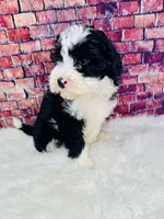 processed/abe891e6-1429-4948-b75a-2cdcd7119ac3/listing/88299aa1-7b37-461f-8ac5-a30532501d46/5cd60219-ceb5-48d0-a1fe-50767877d32e