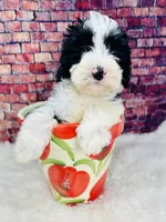 processed/abe891e6-1429-4948-b75a-2cdcd7119ac3/listing/88299aa1-7b37-461f-8ac5-a30532501d46/bc136b47-ed8c-4917-b786-1c555a5979ee