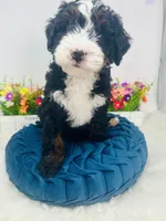 processed/abe891e6-1429-4948-b75a-2cdcd7119ac3/listing/9a0030ee-95c2-444d-b7b0-02f32ebc67ca/28e1b3a6-b774-43ff-aa72-ceb6fba0c99d