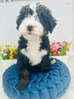 processed/abe891e6-1429-4948-b75a-2cdcd7119ac3/listing/9a0030ee-95c2-444d-b7b0-02f32ebc67ca/636097b1-4724-4bb1-9c41-a151f037095d