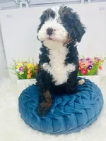 processed/abe891e6-1429-4948-b75a-2cdcd7119ac3/listing/9a0030ee-95c2-444d-b7b0-02f32ebc67ca/77d04654-ac84-4fa0-8354-30c3895bd224