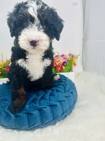 processed/abe891e6-1429-4948-b75a-2cdcd7119ac3/listing/9a0030ee-95c2-444d-b7b0-02f32ebc67ca/fbe55b92-1df3-439f-a407-e8a751d3b5ac