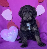 processed/abf0628d-3f22-4024-9ab2-171f9b0fddab/listing/6ecdea3d-92b0-4f37-a9ae-2c15bd5db56b/27585da4-09e2-4067-895b-9e709786f9e0