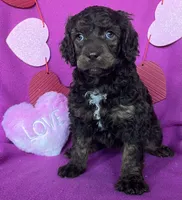 processed/abf0628d-3f22-4024-9ab2-171f9b0fddab/listing/6ecdea3d-92b0-4f37-a9ae-2c15bd5db56b/4382ef9f-621a-4f14-b8ec-6a60c16245cf