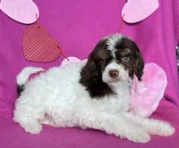 processed/abf0628d-3f22-4024-9ab2-171f9b0fddab/listing/f90ca700-e25c-4690-9903-8a75e85efaa8/6e11a7c0-6ff1-4c33-a6f7-6703ef6ba879