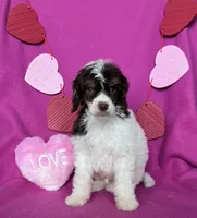 processed/abf0628d-3f22-4024-9ab2-171f9b0fddab/listing/f90ca700-e25c-4690-9903-8a75e85efaa8/819a4708-d19d-4a40-a56f-02e3d5aa933a