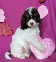 processed/abf0628d-3f22-4024-9ab2-171f9b0fddab/listing/f90ca700-e25c-4690-9903-8a75e85efaa8/a9bbfce6-d08c-4c52-88a5-58649cfeaea2