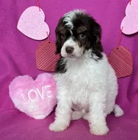 processed/abf0628d-3f22-4024-9ab2-171f9b0fddab/listing/f90ca700-e25c-4690-9903-8a75e85efaa8/b50747c8-7772-48c6-8a28-21e7f66b59ea