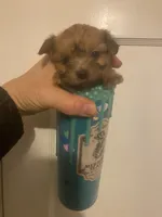 processed/ac01573c-2c7c-4fd7-b252-9dc687b63ed8/listing/781e4689-d44c-4766-a2a9-9cf0c34033a0/1dd41452-26ef-4266-bfcb-62628dd6cc5d