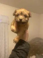 processed/ac01573c-2c7c-4fd7-b252-9dc687b63ed8/listing/781e4689-d44c-4766-a2a9-9cf0c34033a0/37c6d9eb-66e3-42dd-b7f8-2cb5cffde7a9