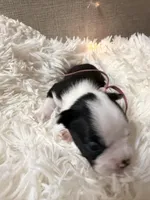 processed/ac0c9c83-0fe8-49a4-875e-2cdda1b01450/facility/08f36858-4e93-44e8-b835-b57369e9233e