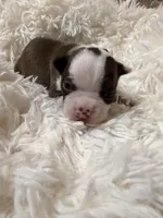 processed/ac0c9c83-0fe8-49a4-875e-2cdda1b01450/facility/0c191f11-9703-48ed-a7d5-1ee1545a22ba