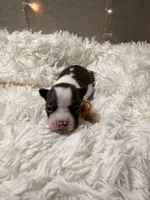 processed/ac0c9c83-0fe8-49a4-875e-2cdda1b01450/facility/31b8421d-f14b-4c50-b14b-7db5f52ce671