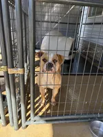 processed/ac0d3e00-4615-4fd3-81db-632d9dc9b747/listing/24d19246-b59f-4f1c-aee8-fd5d9f3a1a67/42c38248-4aa9-4875-82ce-e7287ee33fde