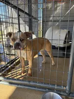 processed/ac0d3e00-4615-4fd3-81db-632d9dc9b747/listing/24d19246-b59f-4f1c-aee8-fd5d9f3a1a67/482fe9c4-0442-4d8f-b94d-23b54a566514